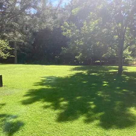 דירה Type 2 Dans Un Parc Verdoyant *